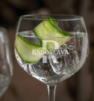 Pohár na Gin & Tonic